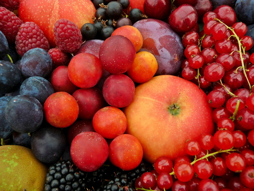 Плоды и ягоды